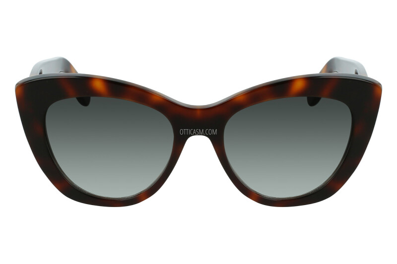 Lunettes Salvatore Ferragamo SF1022S-214