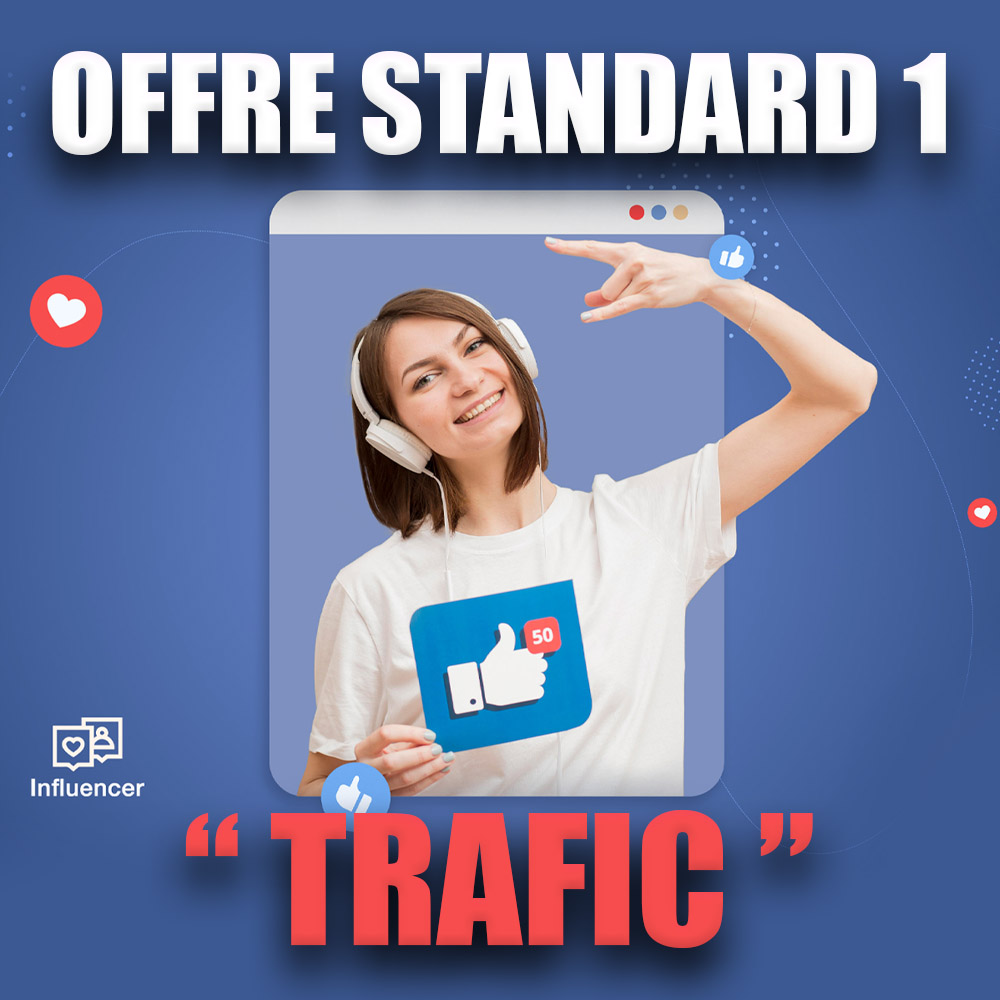 Offre Standard Trafic 1 : campagne publicitaire optimisée !
