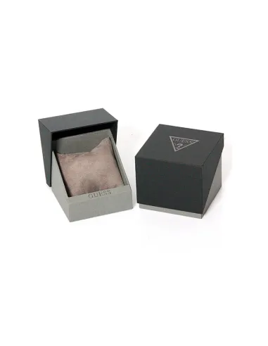 Montre Guess Homme W0971G3