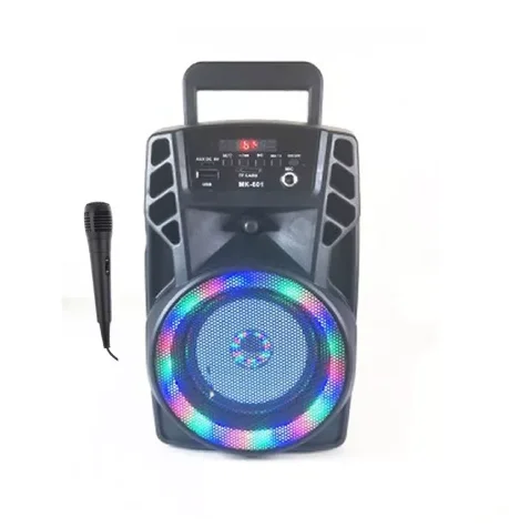 Haut Parleur Lumineux Avec Micro Karaoke