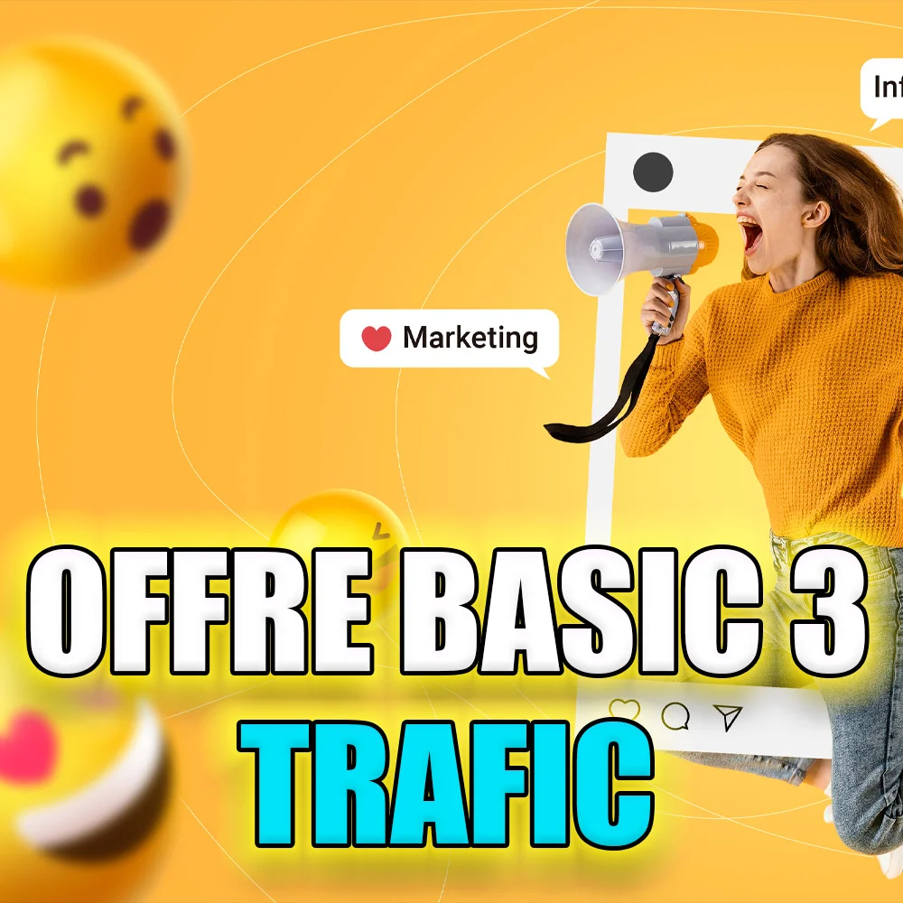 Offre BASIC 3 : Générez du trafic ciblé sur le site